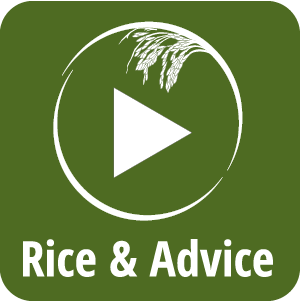 Rice & Advice